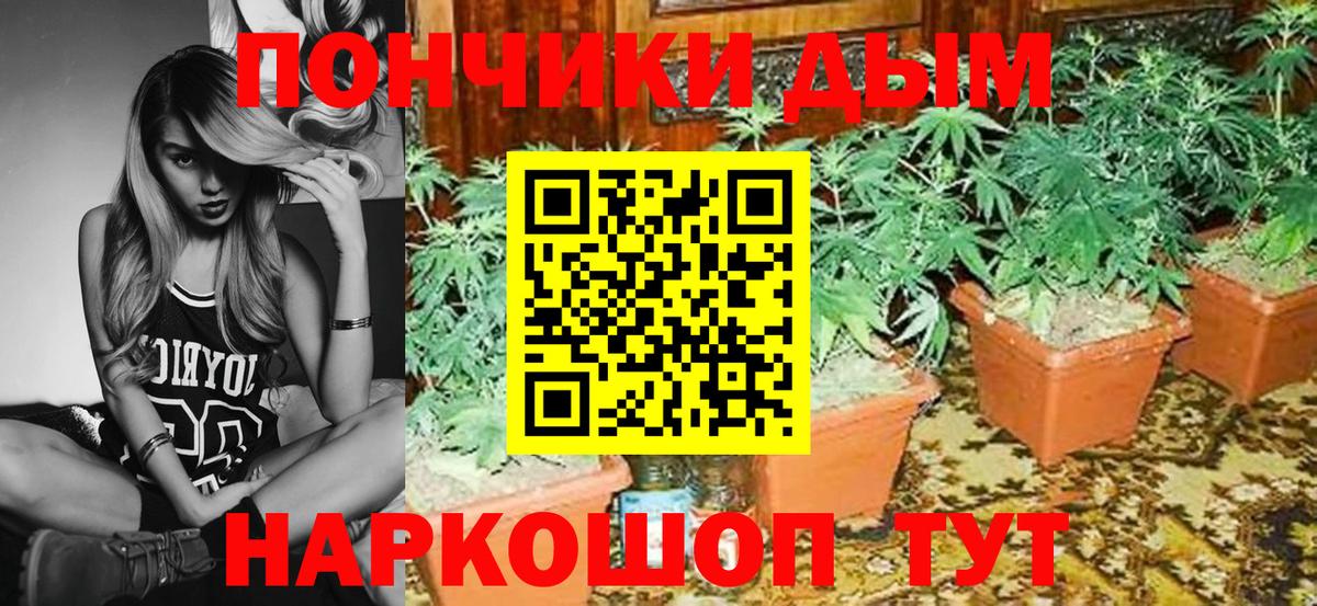 Шишки марихуана SATIVA & INDICA Асбест